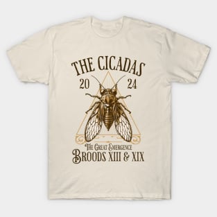 Cicadas 2024 - Brood XIX Brood XIII - Funny Cicada Lover T-Shirt